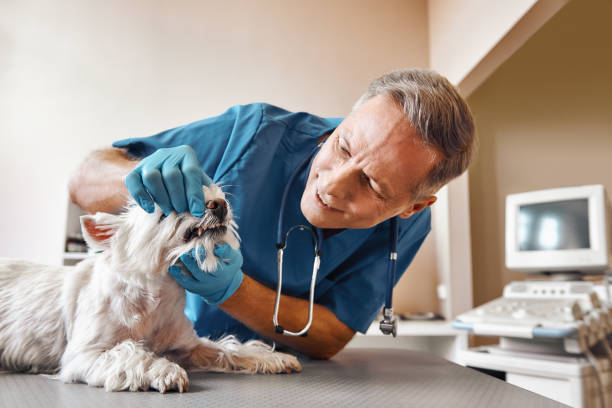Best Pediatric Emergency Dentist in Amite City, LA